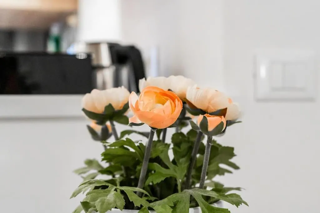 Prázdninový dům Suite32 Bergamo Itálie